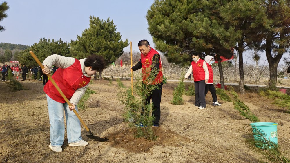 陜煤建設澄合分公司：企地同心植新綠